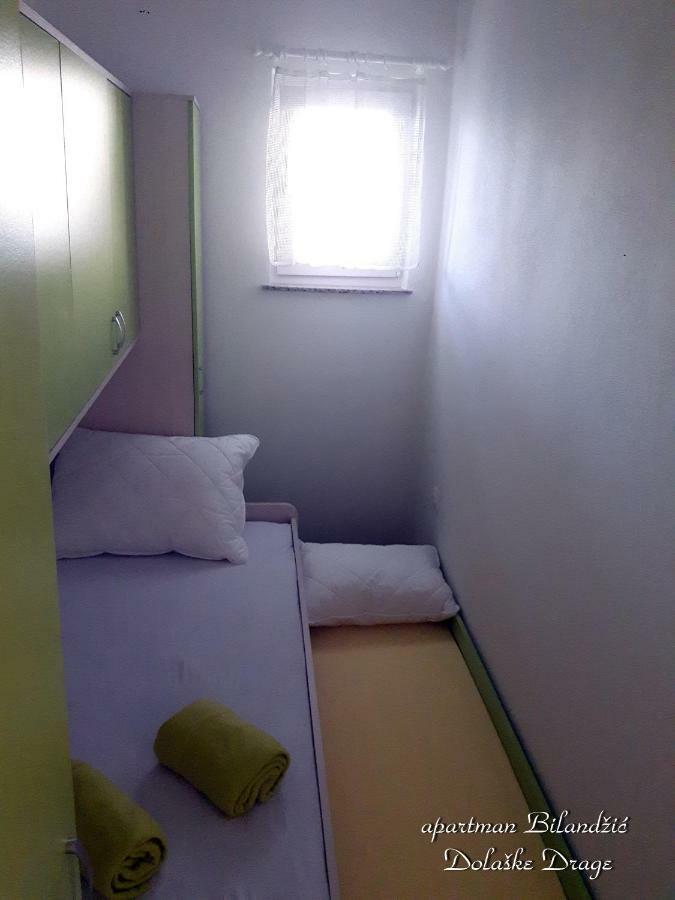 Apartman Bilandžić Drage Bagian luar foto