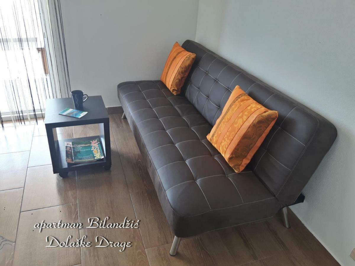 Apartman Bilandžić Drage Bagian luar foto