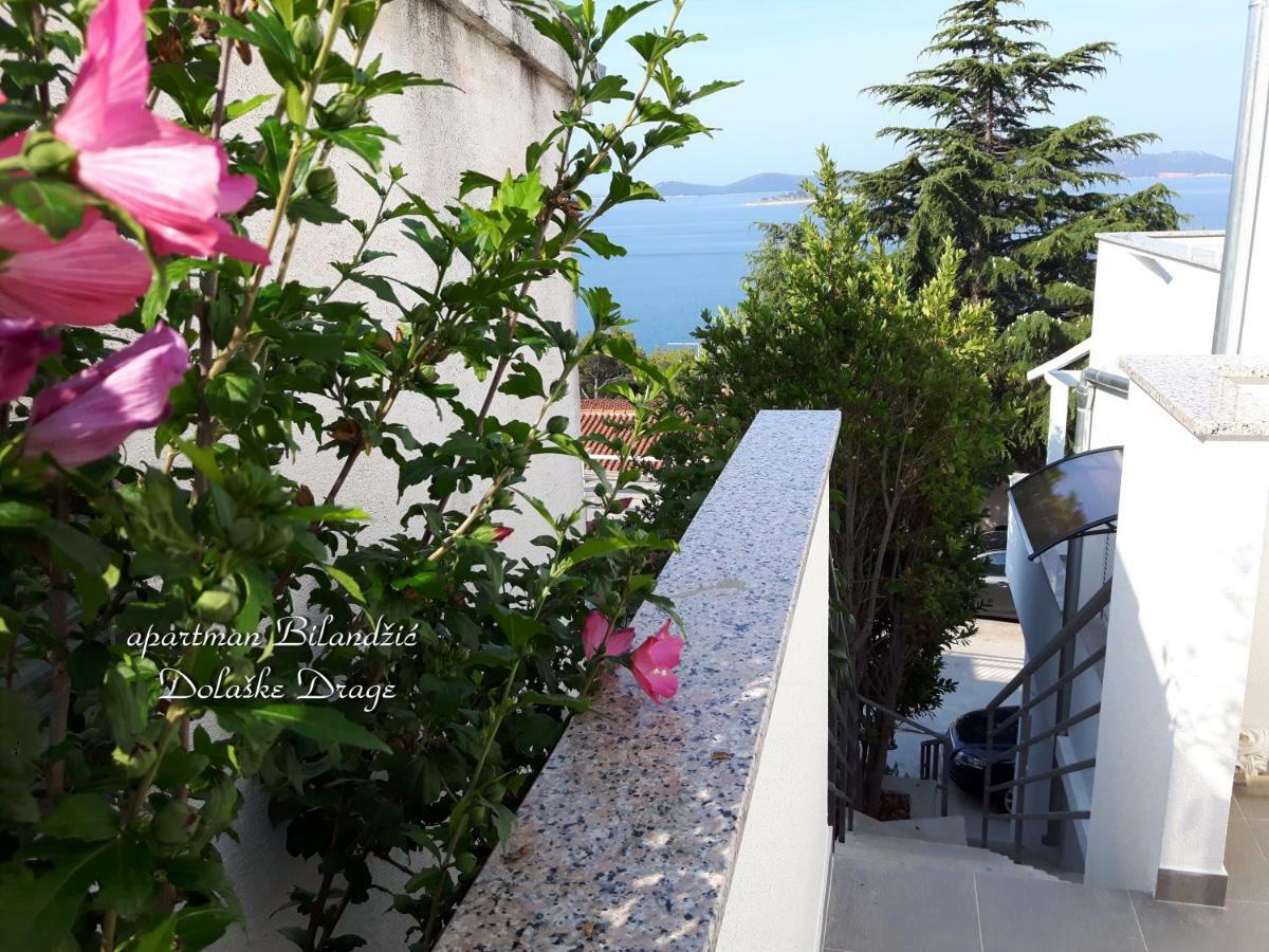 Apartman Bilandžić Drage Bagian luar foto